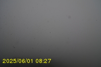 Img20250601_082738.jpg