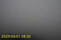 Img20250601_083238.jpg