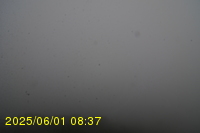 Img20250601_083738.jpg