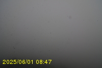 Img20250601_084738.jpg