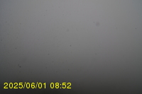 Img20250601_085238.jpg
