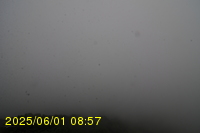 Img20250601_085738.jpg