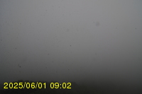Img20250601_090238.jpg