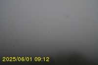 Img20250601_091238.jpg