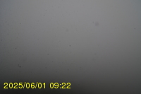 Img20250601_092238.jpg