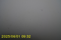 Img20250601_093238.jpg
