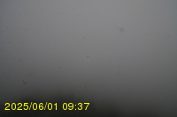 Img20250601_093738.jpg