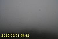 Img20250601_094238.jpg