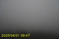 Img20250601_094738.jpg