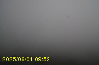 Img20250601_095238.jpg