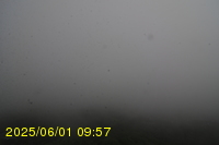 Img20250601_095739.jpg