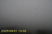 Img20250601_100239.jpg