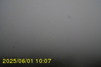 Img20250601_100738.jpg