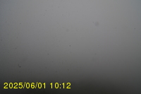 Img20250601_101239.jpg