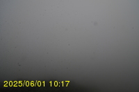 Img20250601_101739.jpg