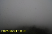Img20250601_102239.jpg