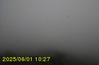 Img20250601_102739.jpg