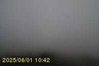 Img20250601_104239.jpg