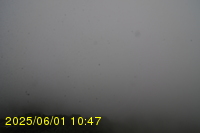 Img20250601_104739.jpg