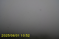 Img20250601_105239.jpg
