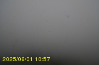 Img20250601_105739.jpg