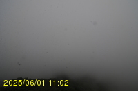 Img20250601_110239.jpg