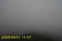 Img20250601_110739.jpg