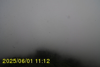 Img20250601_111239.jpg