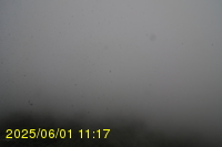 Img20250601_111739.jpg