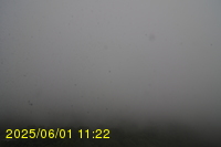 Img20250601_112239.jpg