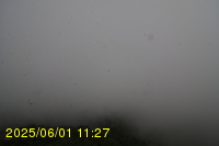 Img20250601_112739.jpg
