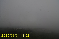 Img20250601_113239.jpg