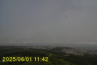 Img20250601_114239.jpg