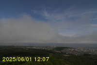 Img20250601_120739.jpg