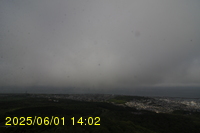 Img20250601_140239.jpg