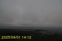 Img20250601_141239.jpg