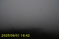 Img20250601_164240.jpg