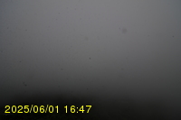 Img20250601_164740.jpg