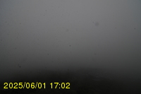 Img20250601_170240.jpg