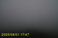 Img20250601_174740.jpg