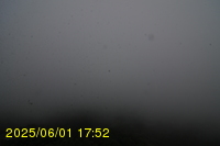 Img20250601_175240.jpg