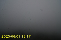 Img20250601_181740.jpg