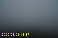 Img20250601_184740.jpg