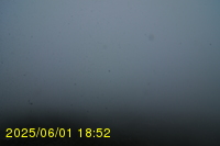 Img20250601_185240.jpg