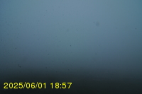 Img20250601_185740.jpg