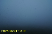 Img20250601_190240.jpg