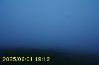 Img20250601_191240.jpg
