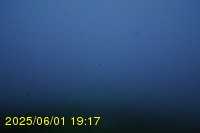 Img20250601_191740.jpg
