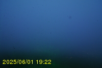 Img20250601_192240.jpg