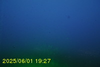 Img20250601_192740.jpg